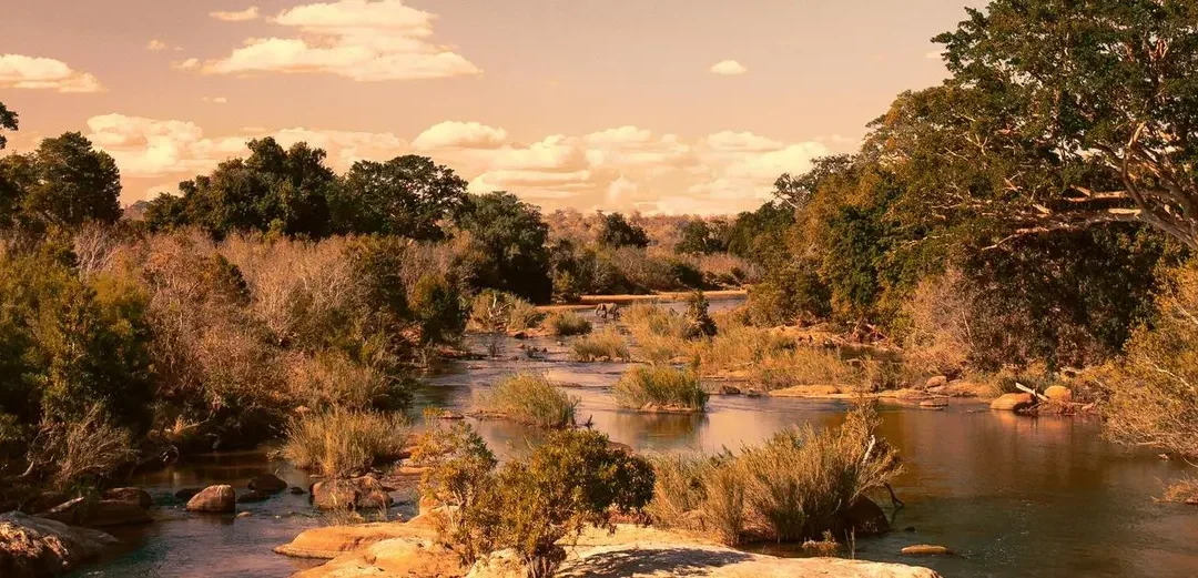 EXPERIENCE SUDAFRICA Urban & Wildlife
